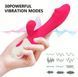 Vibrator-iepure multifuncțional, stimulator pentru punctul G și clitoris, cu penetrare și masaj. 2800189909 foto 4
