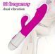Vibrator-iepure multifuncțional, stimulator pentru punctul G și clitoris, cu penetrare și masaj. 2800189909 foto 5