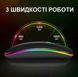 , Чорний, Мышь